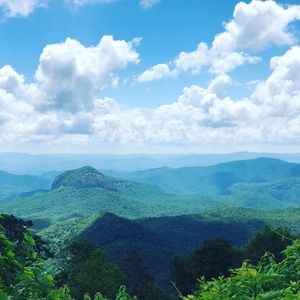 Meet your Posher, Langley